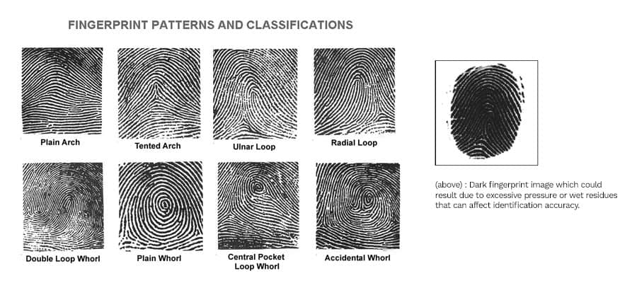 Comparing Fingerprint and Facial Recognition Technologies for Employees Tracking 2